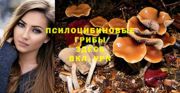 кокс Алзамай