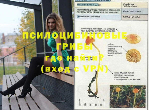 сатива Мегион