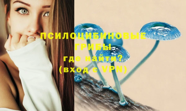 дмт Медногорск