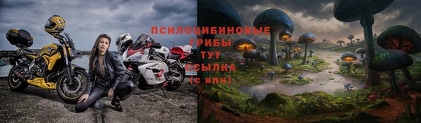 амф Алексеевка