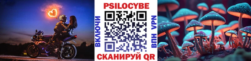 магазин продажи   Адыгейск  ОМГ ОМГ зеркало  Галлюциногенные грибы ЛСД 